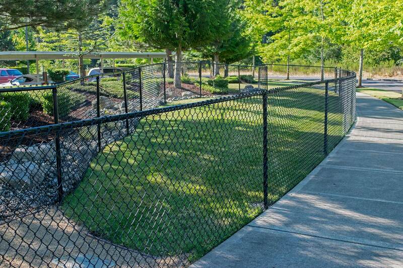 Dog Run Meets Potty Area, chain link fence