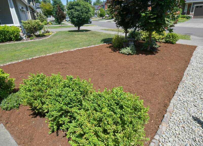 Lawn Replaced with Planting Bed
